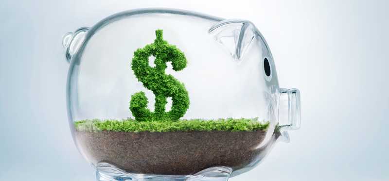 Can Green Products Help Me Save Money In The Long Run