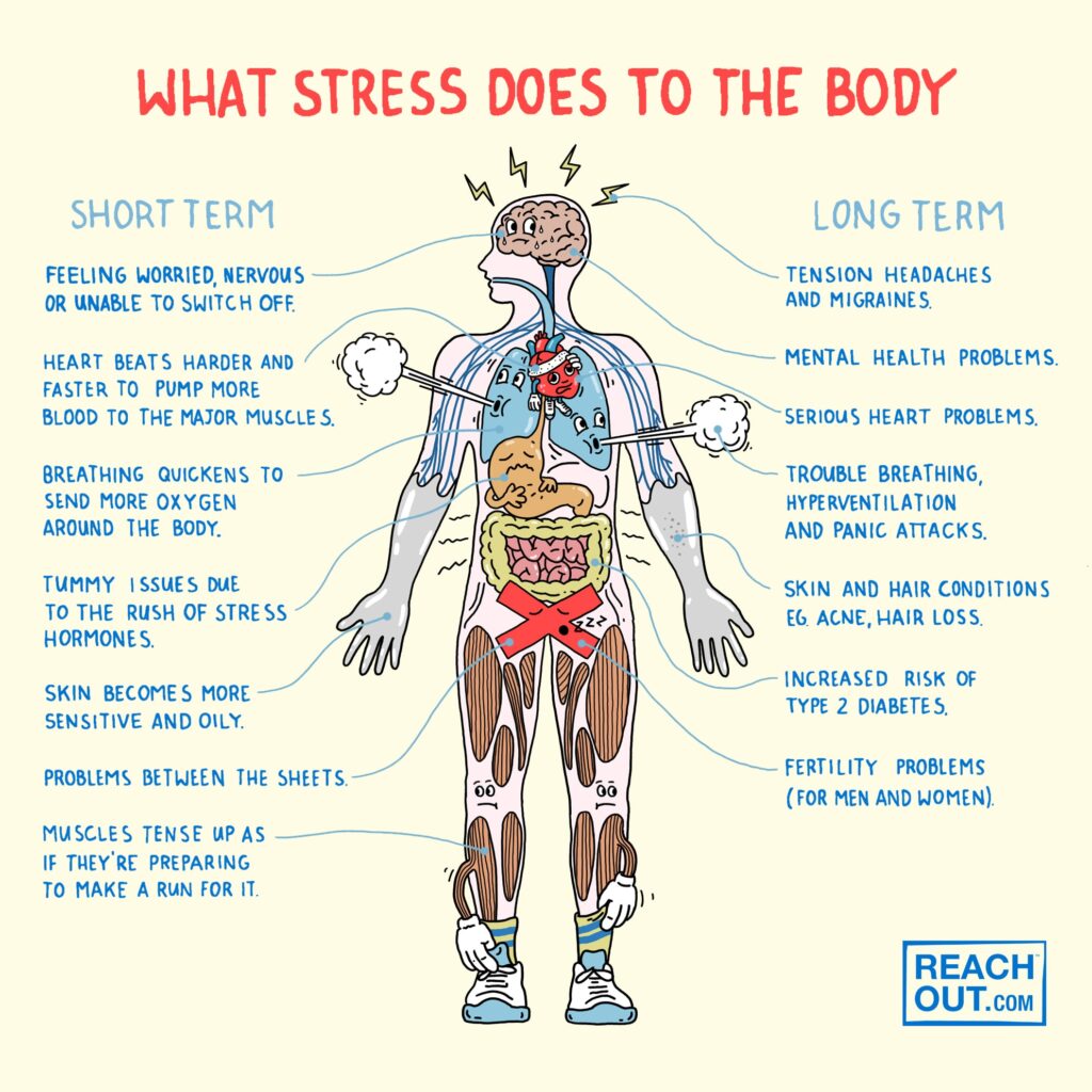 How Does Stress Affect My Physical Health