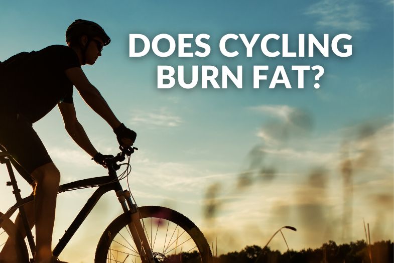 Can Cycling Reduce Belly Fat: What The Experts Say